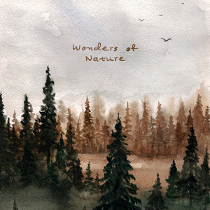 丁香六月婷婷精品免费观看
