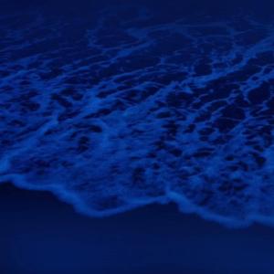 丁香六月婷婷精品免费观看
